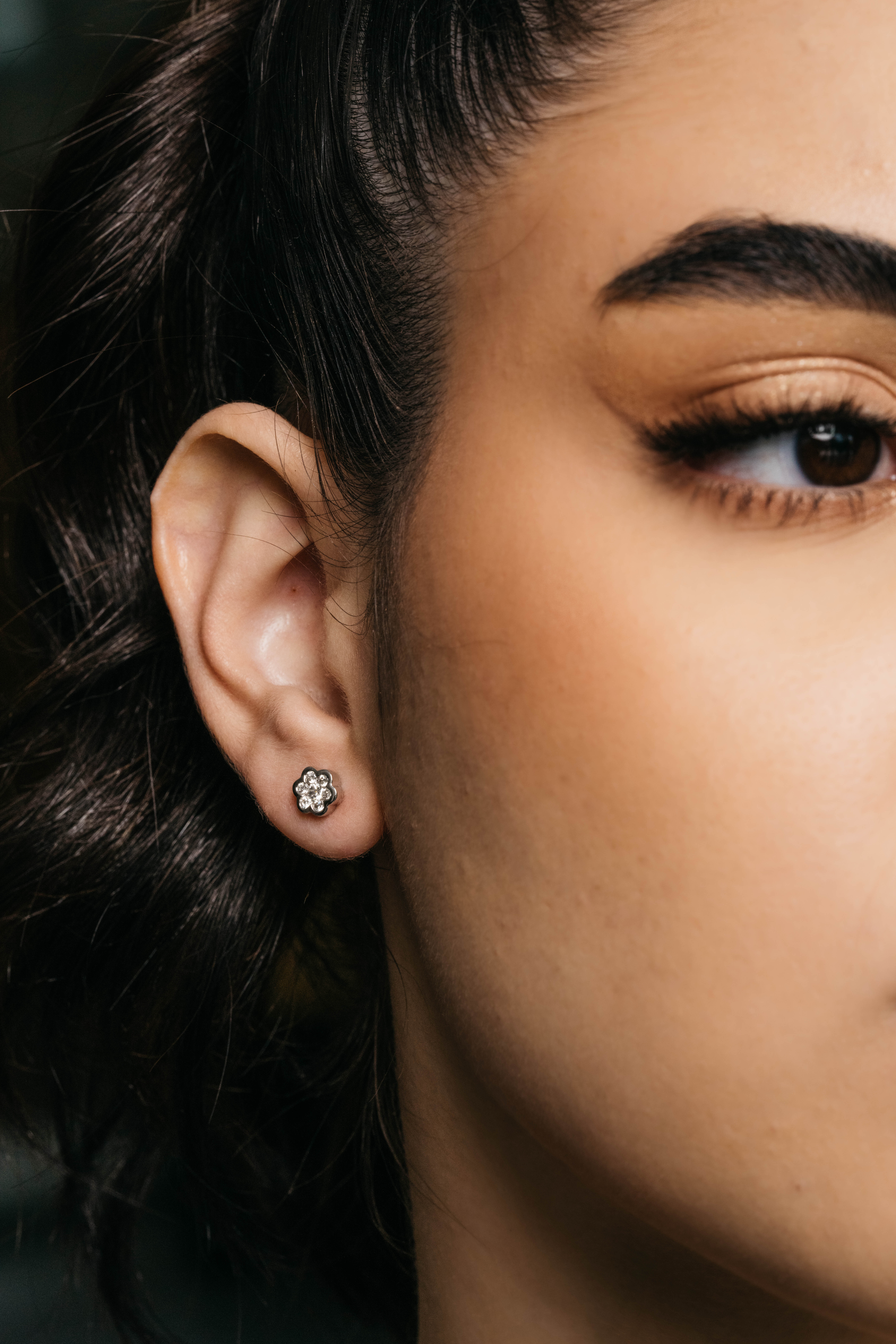 Midnight Sparkle 6279